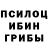 Галлюциногенные грибы Psilocybe Movlyuda Azimova