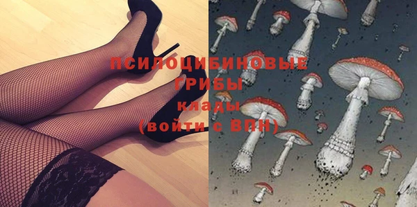 мет Алексин