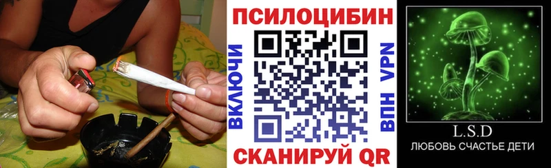 Галлюциногенные грибы прущие грибы  Богучар 
